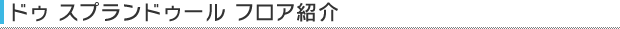 ドゥ スプランドゥール フロア紹介