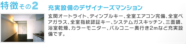 充実設備のデザイナーズマンション